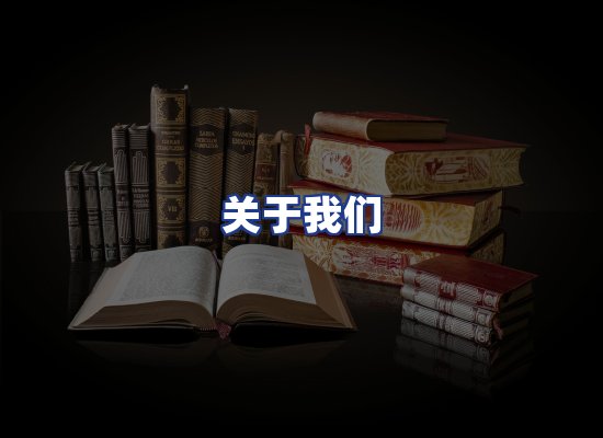 专业团队